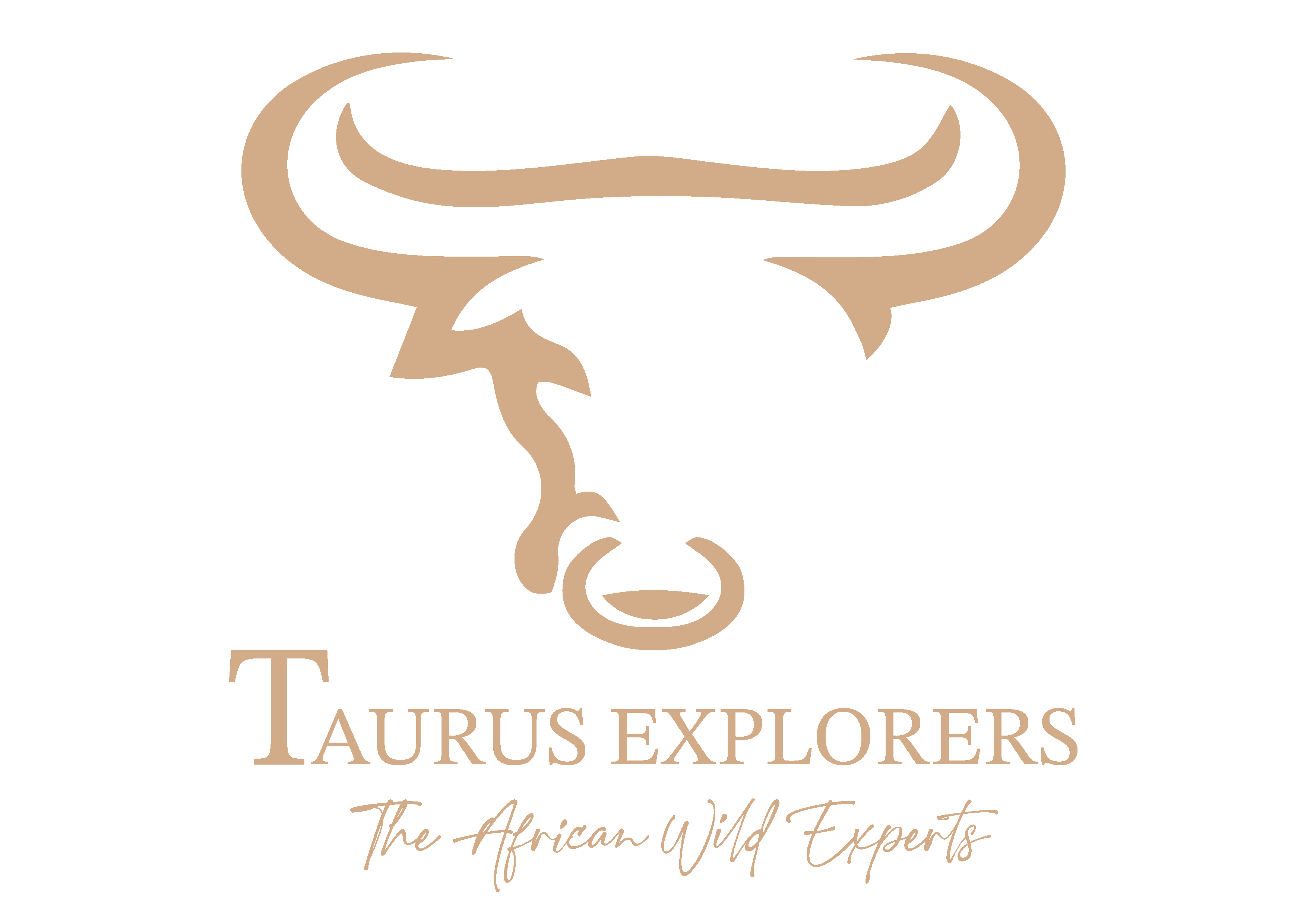 Taurus Explore Logo
